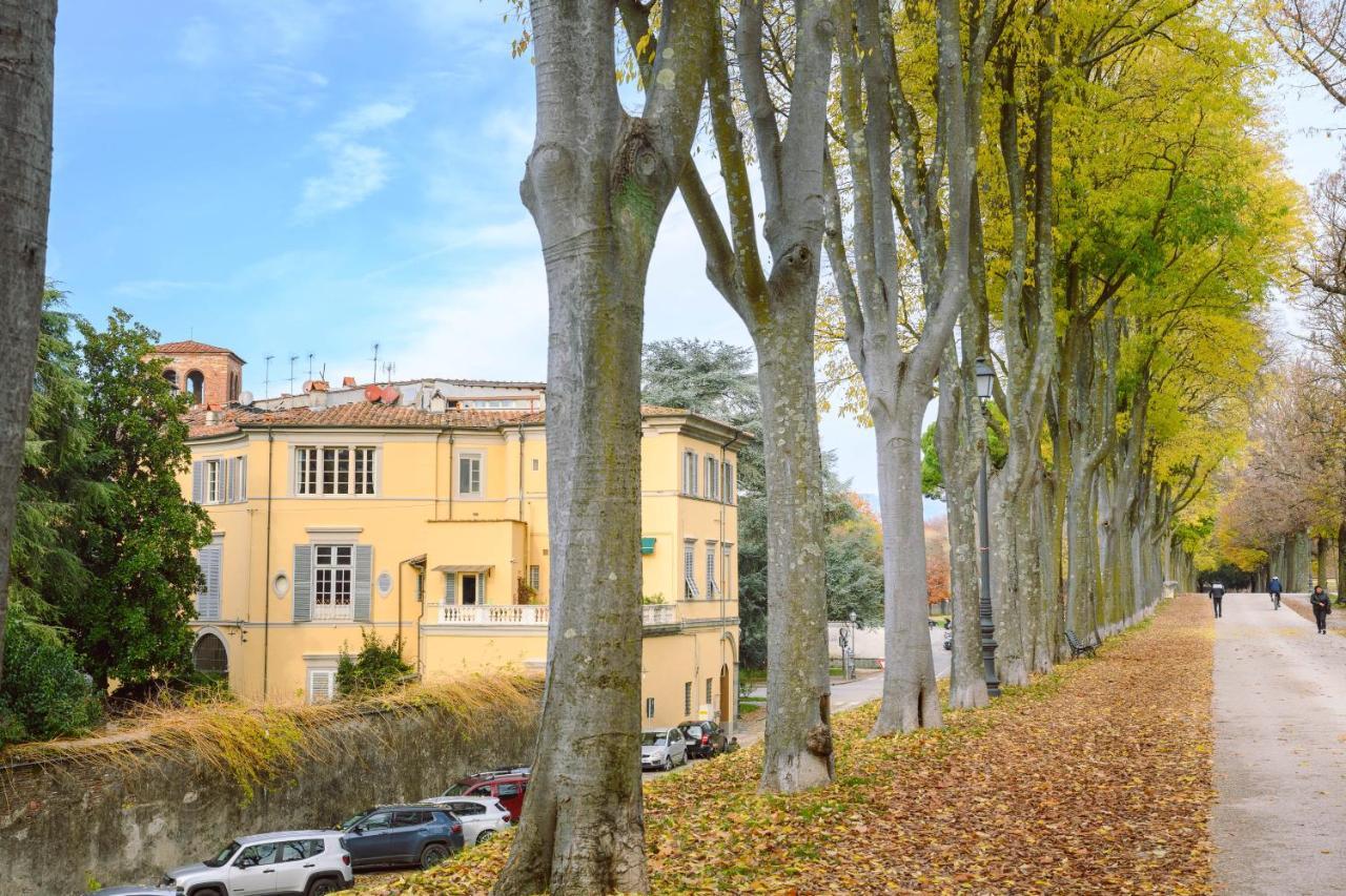 לוקה Palazzo Froussard B&B And Living מראה חיצוני תמונה